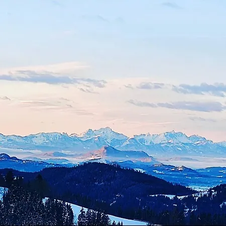 Penzion Forellenwirt Bacher