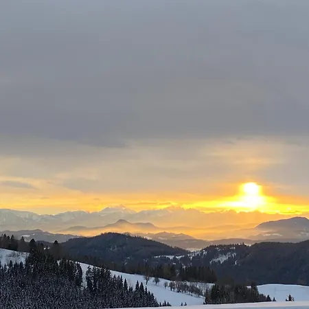 Penzion Forellenwirt Bacher