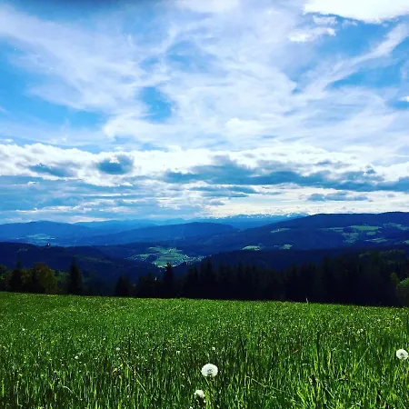 Forellenwirt Bacher