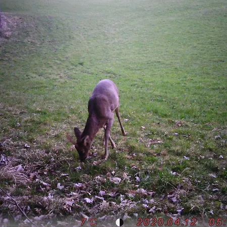 Forellenwirt Bacher 3* Kirchberg (Sankt Veit an der Glan)