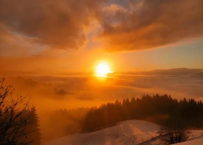 Forellenwirt Bacher Penzion Kirchberg (Sankt Veit an der Glan)